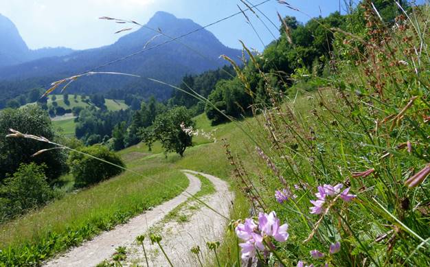 http://images2.seiser-alm.it/images/top_seasons/gallery/org/_270620135452334.jpg